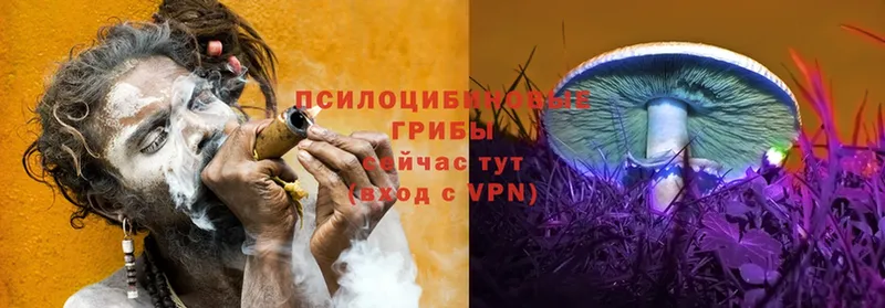 hydra как зайти  купить наркотики цена  Рязань  Псилоцибиновые грибы Psilocybe 