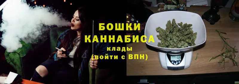 Шишки марихуана SATIVA & INDICA  нарко площадка наркотические препараты  Рязань 